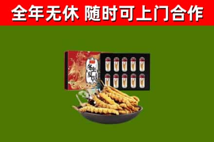 拱墅区回收冬虫夏草价格