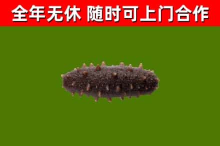 拱墅区烟酒回收干海参.jpg